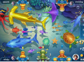 云开足球平台2024最新版