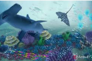 云开足球平台最新版